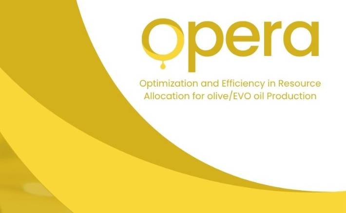Prevedere la domanda per ridurre gli sprechi: il progetto OPERA per la filiera olearia