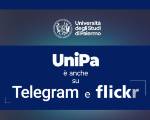 UniPa è anche su Telegram e su Flickr