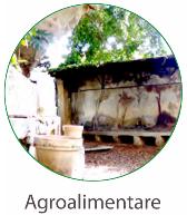 Agroalimentare