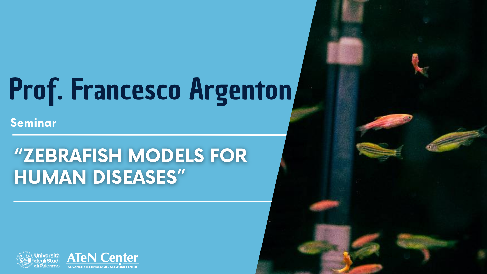 Seminario su:"Zebrafish models for human diseases" | 1 luglio