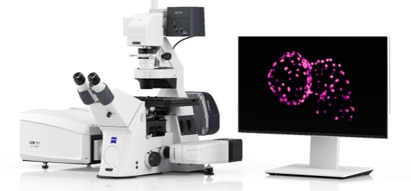Demo Pratica – Microscopio Confocale ZEISS LSM 910