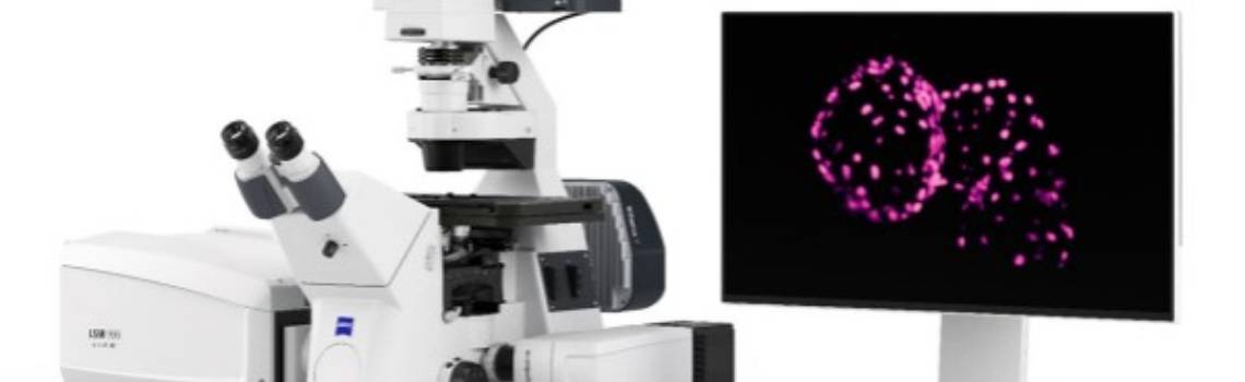 Demo Pratica – Microscopio Confocale ZEISS LSM 910
