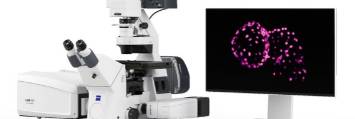 Demo Pratica – Microscopio Confocale ZEISS LSM 910
