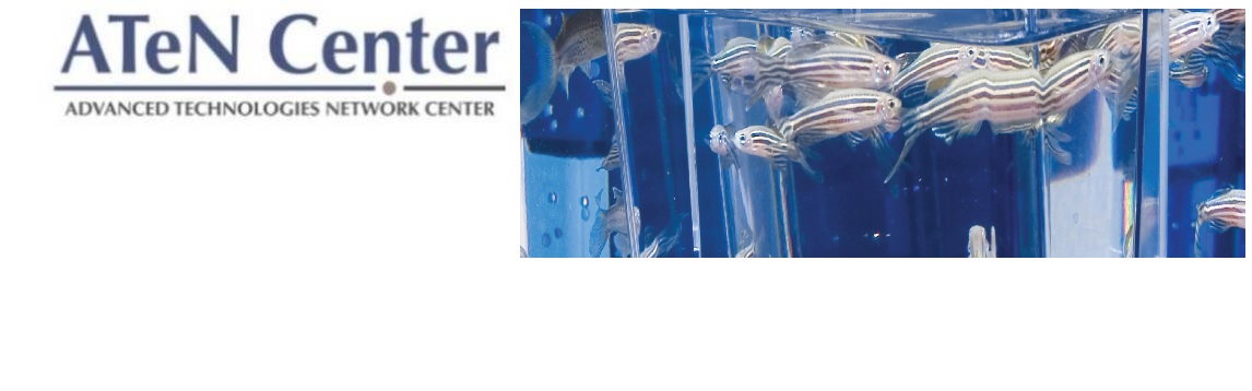 Utilizzo di Zebrafish a fini scientifici: corso nazionale di formazione