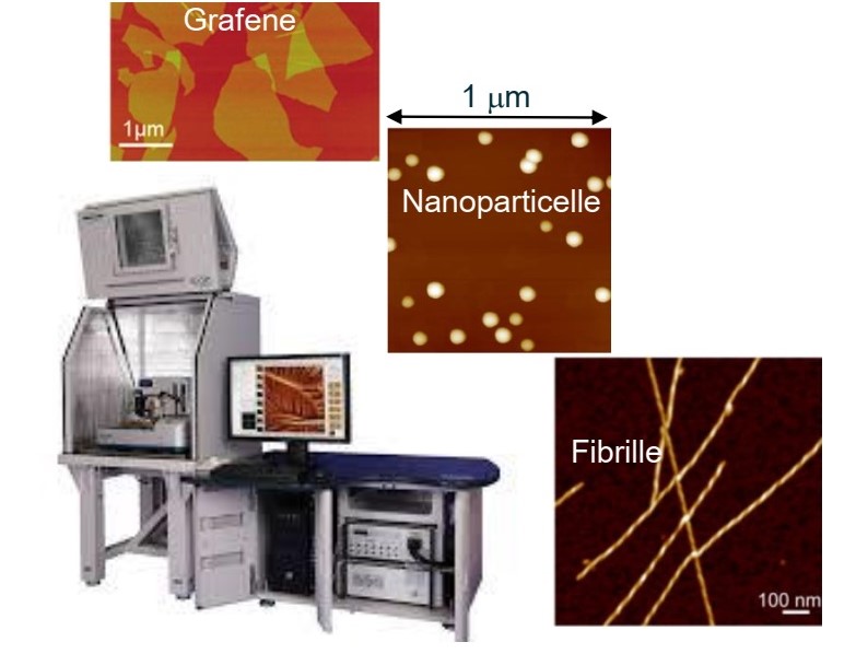 Training AFM: Microscopia a Forza Atomica