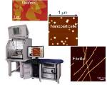 Training AFM: Microscopia a Forza Atomica