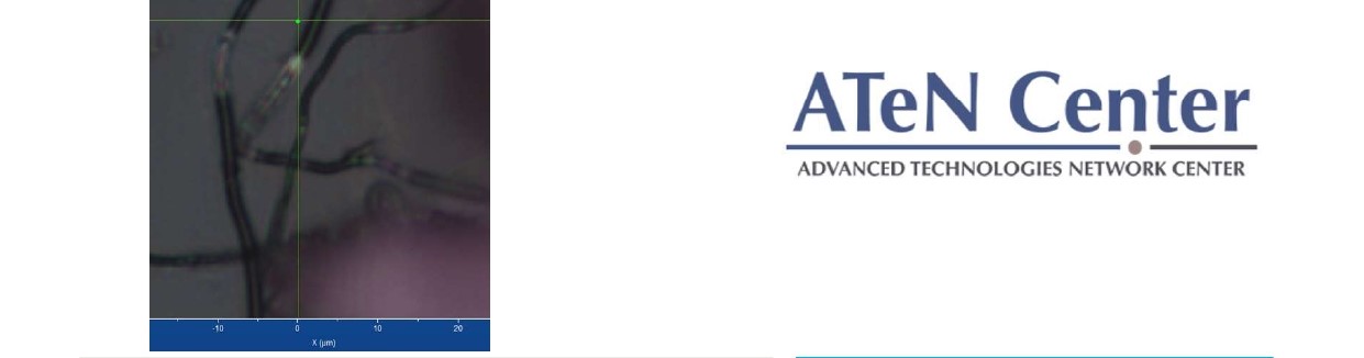 MICRORAMAN TRAINING: MICROSCOPIA RAMAN
