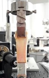 Avviso Training: Misure non lineari di sforzo e deformazione nella biomeccanica dei tessuti mediante BOSE 3330