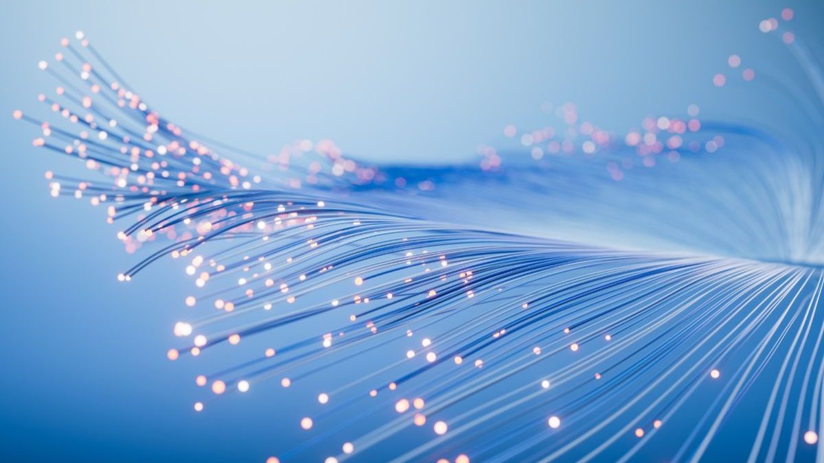 a5d594db-5c5a-603c-e698-f7020a88d025 a5d594db-5c5a-603c-e698-f7020a88d025