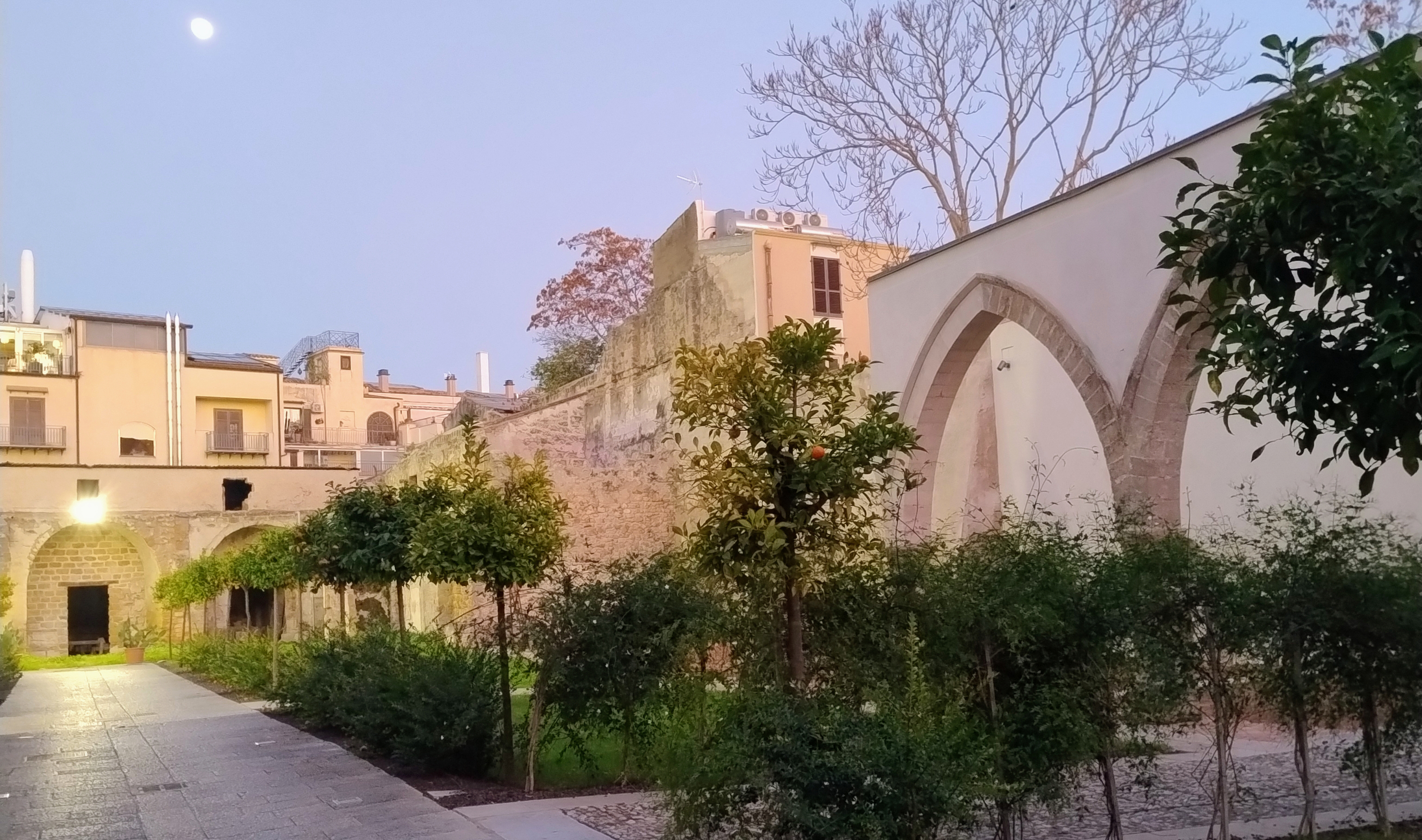 IMG_20241213_170729062_AE_BANNER IMG_20241213_170729062_AE_BANNER